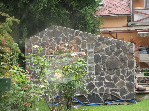 Szarvas 076